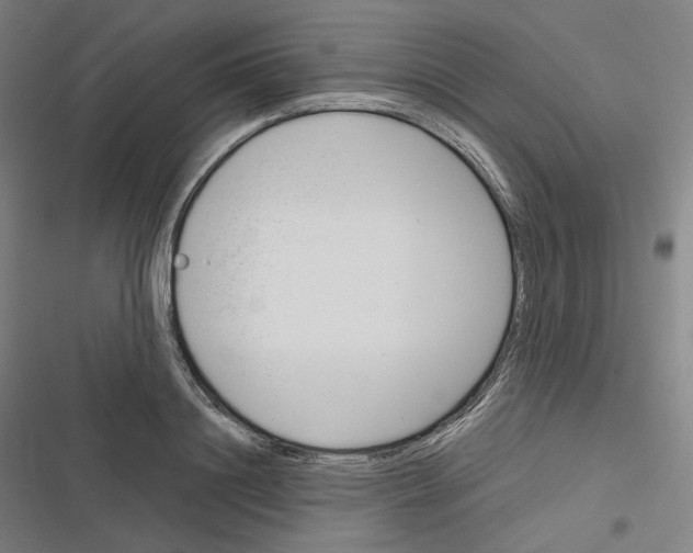 X0000116810844201001081354