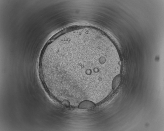 X0000116810845201001081354