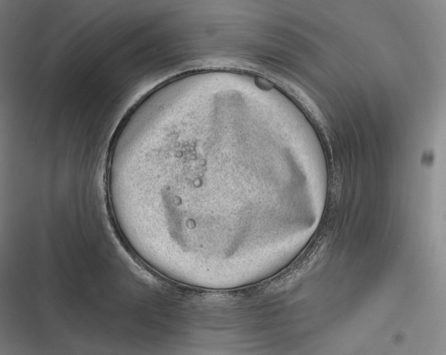 X0000116810847201001081354