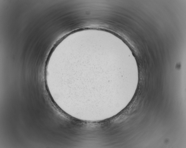 X0000116810848201001081354