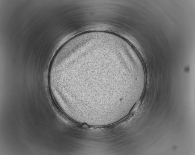 X0000116810850201001081354