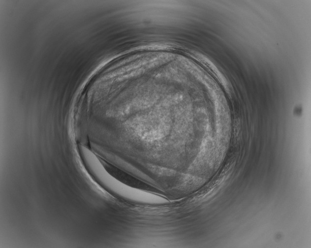 X0000116810851201001081354