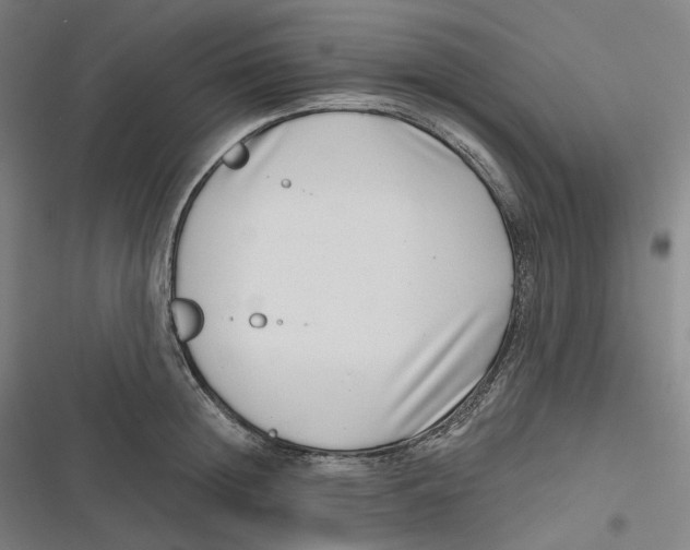 X0000116810852201001081354