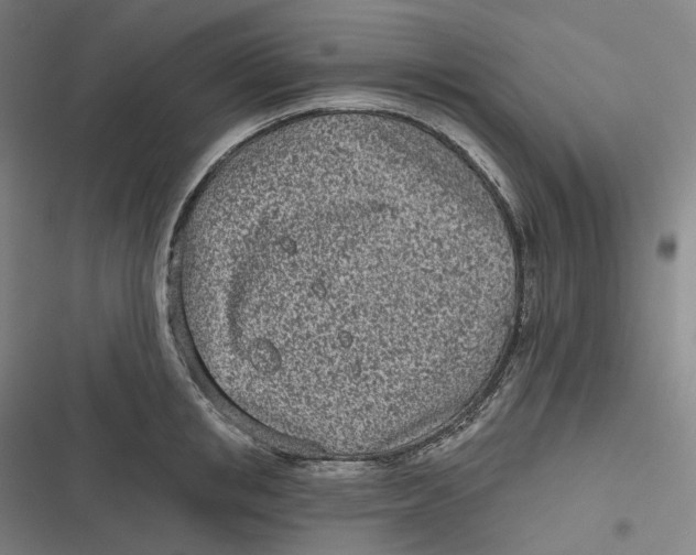 X0000116810853201001081354