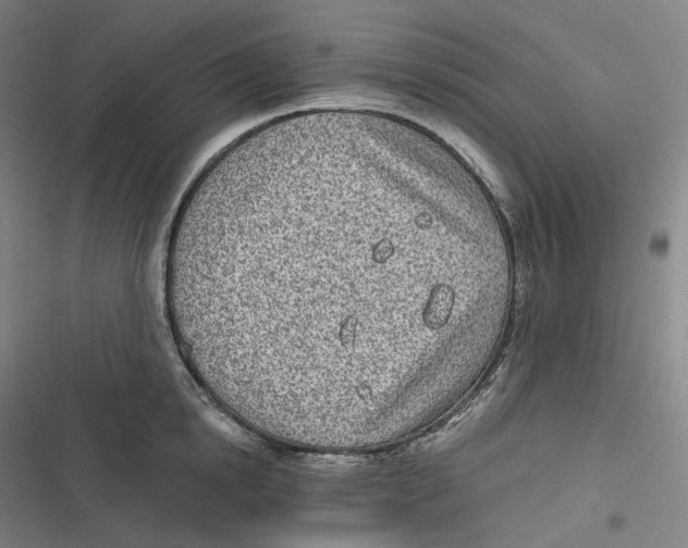 X0000116810854201001081354