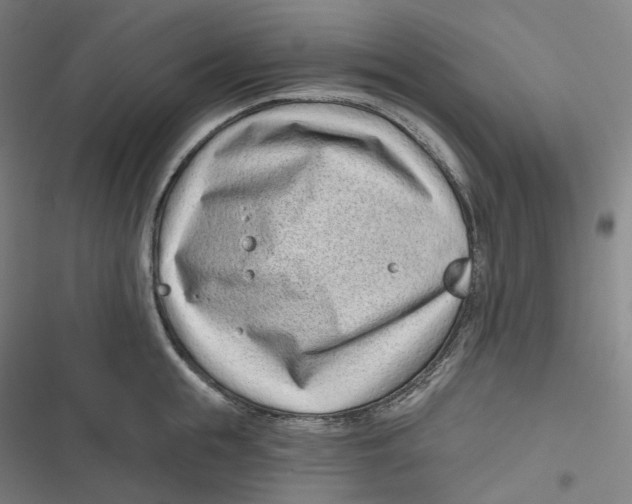 X0000116810855201001081354