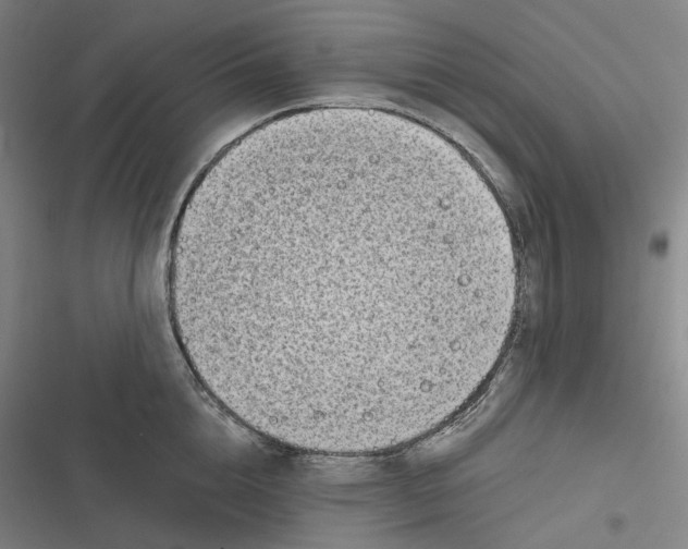 X0000116810856201001081354