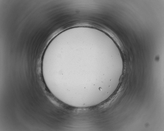 X0000116810858201001081354