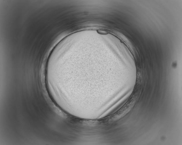 X0000116810859201001081354