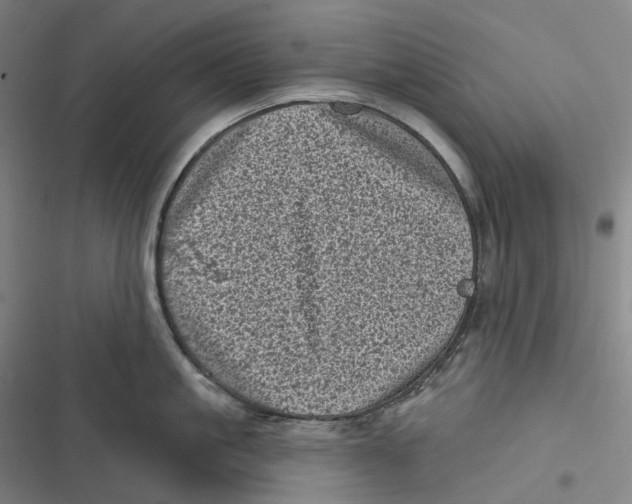 X0000116810861201001081354