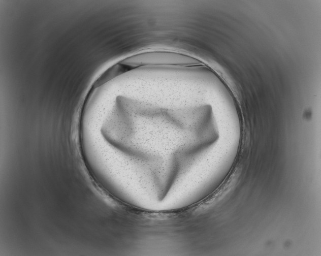 X0000116810862201001081354