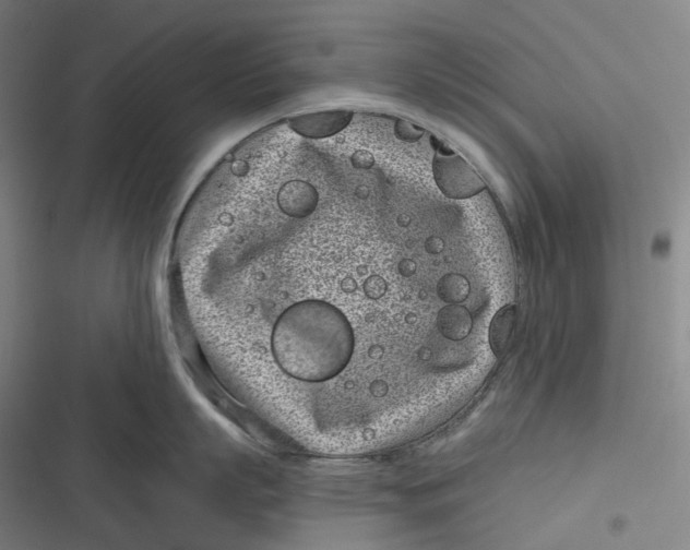 X0000116810863201001081354