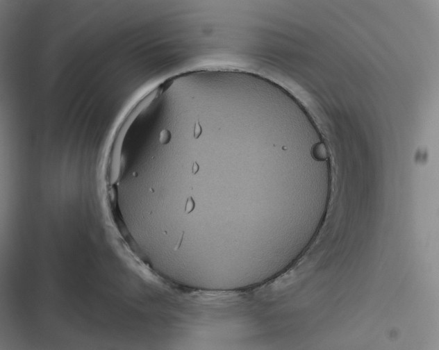 X0000116810864201001081354