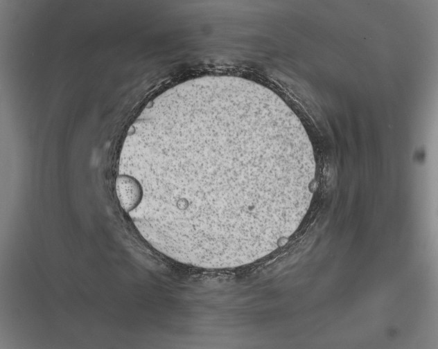 X0000116810865201001081353