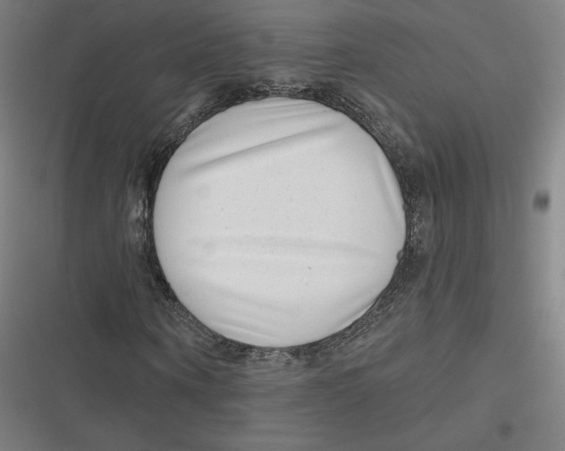 X0000116810866201001081353