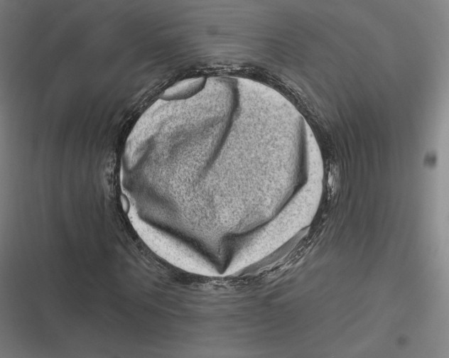 X0000116810867201001081353