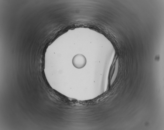 X0000116810868201001081353