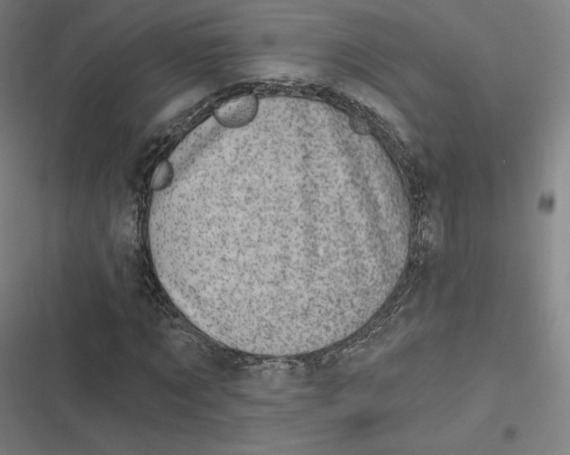 X0000116810869201001081353