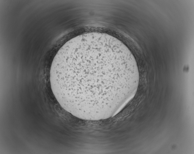 X0000116810870201001081353