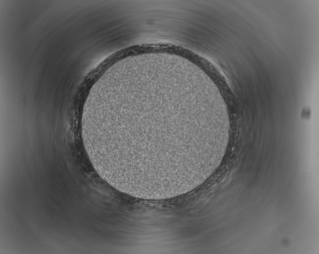 X0000116810871201001081353