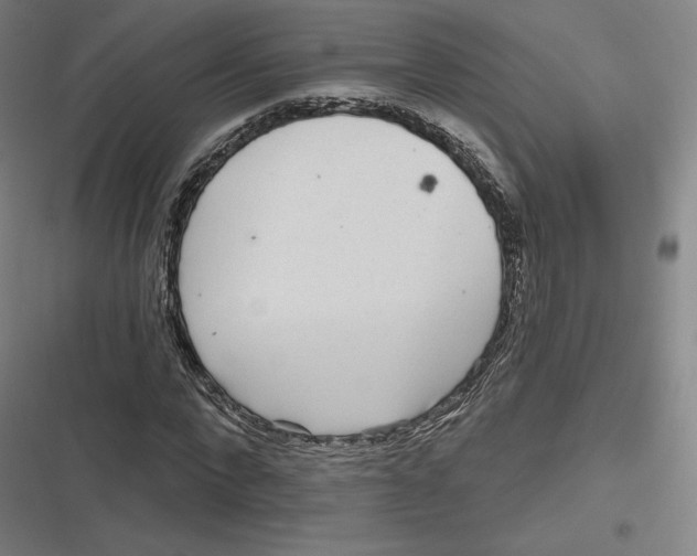 X0000116810872201001081353