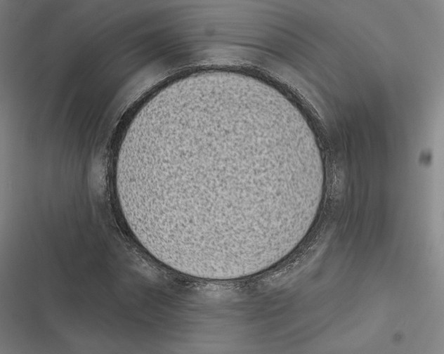 X0000116810874201001081353