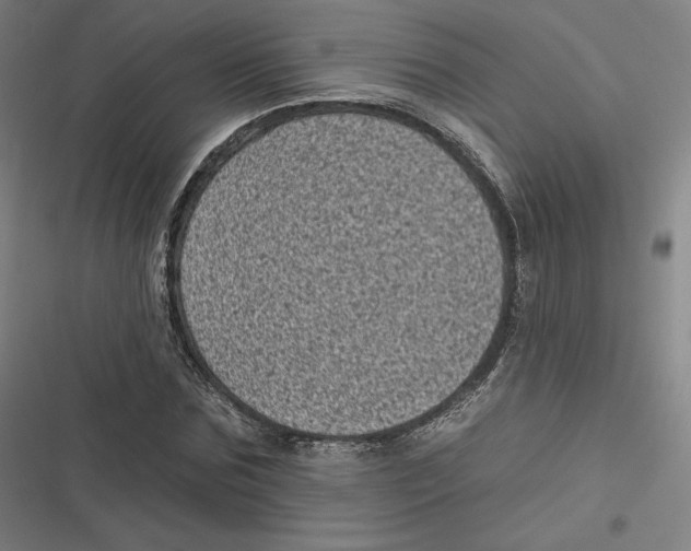 X0000116810875201001081353