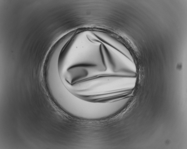 X0000116810876201001081353