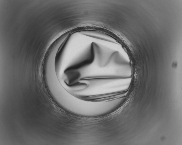 X0000116810877201001081353