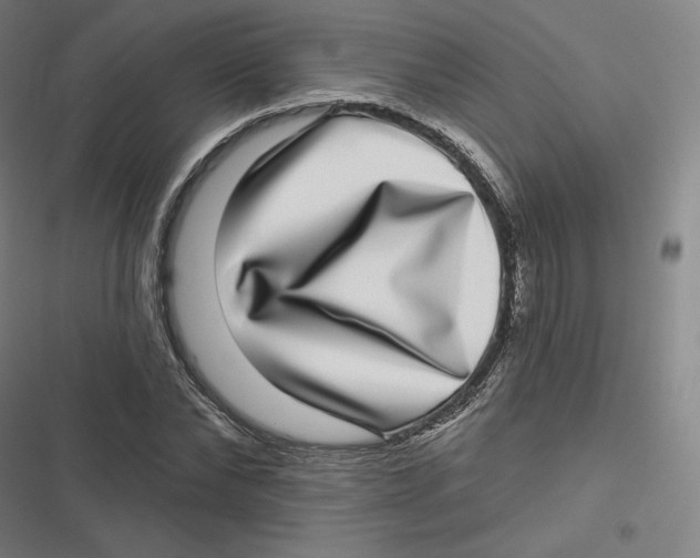 X0000116810878201001081353