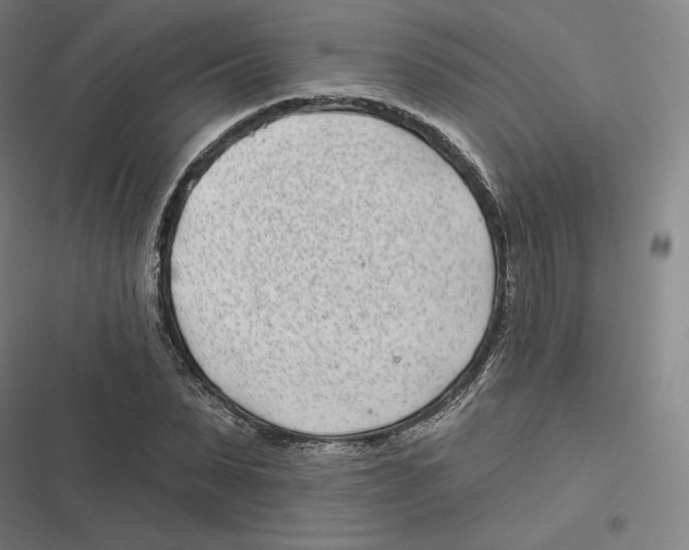 X0000116810879201001081353