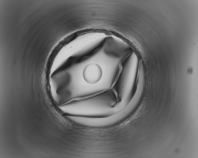 X0000116810880201001081353