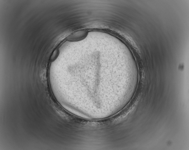 X0000116810881201001081353