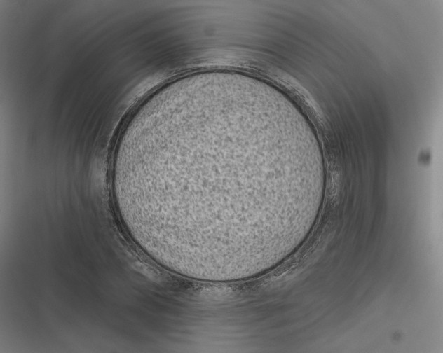 X0000116810882201001081353