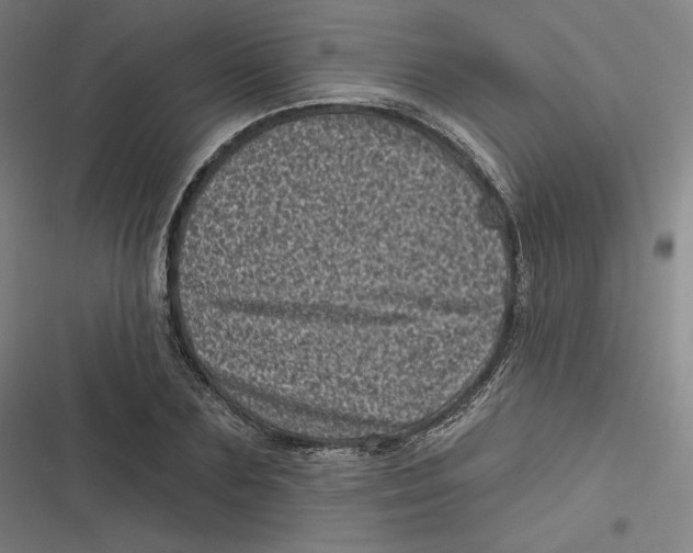 X0000116810883201001081353