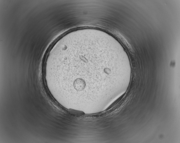 X0000116810884201001081353