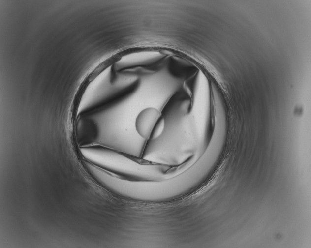 X0000116810885201001081353