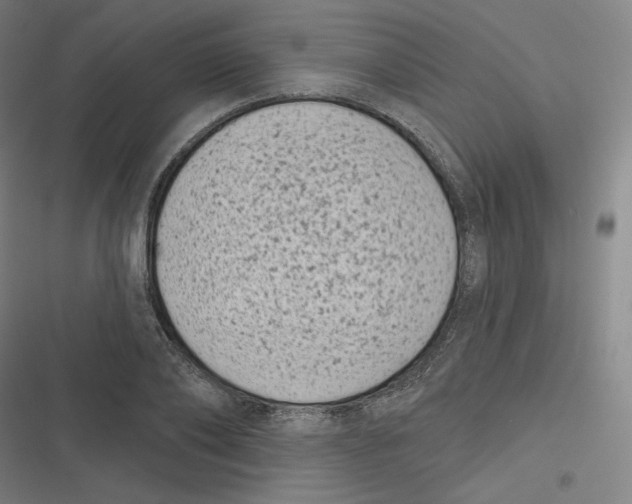 X0000116810886201001081353