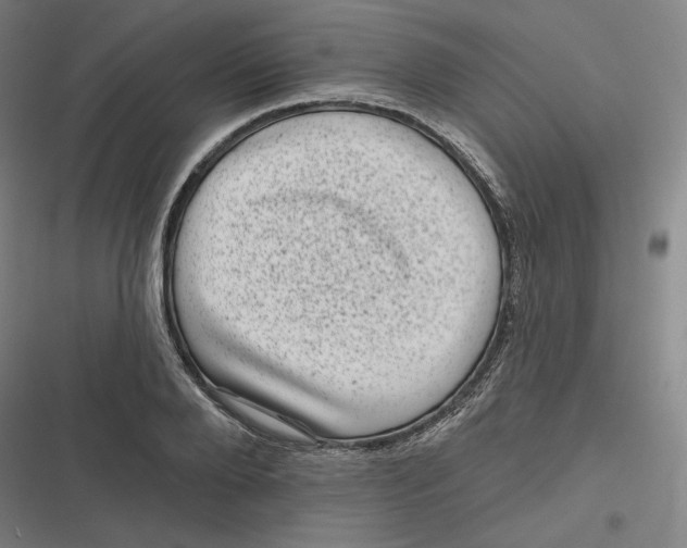 X0000116810888201001081353