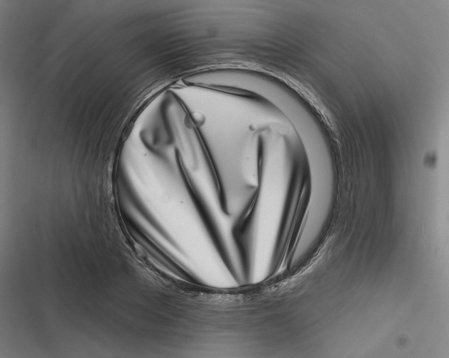 X0000116810889201001081353