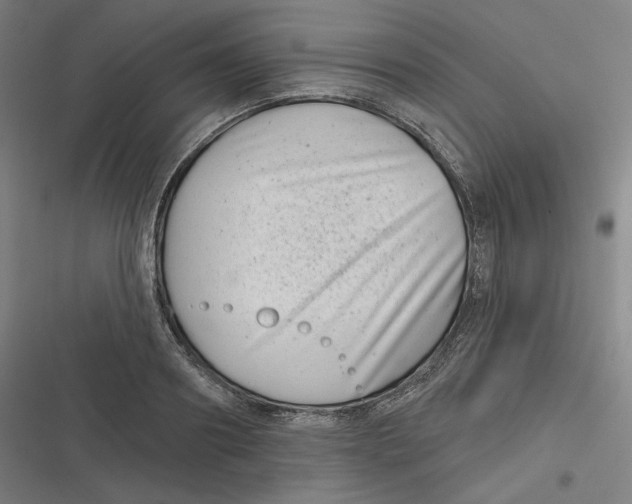 X0000116810890201001081353