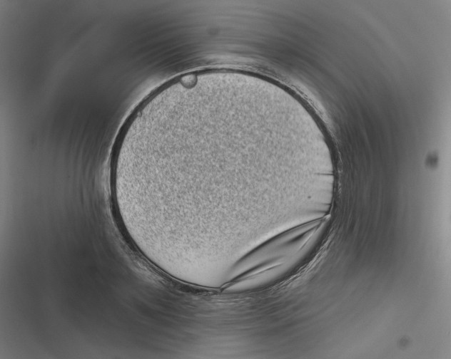 X0000116810891201001081353