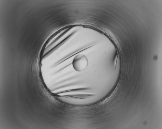 X0000116810892201001081353