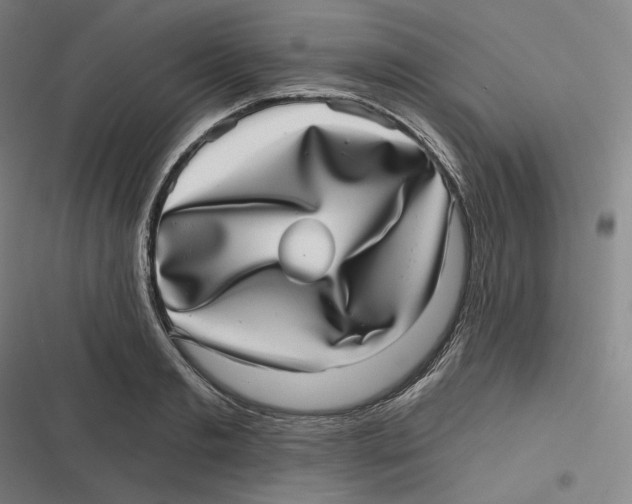 X0000116810893201001081353