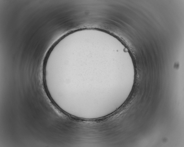 X0000116810894201001081353