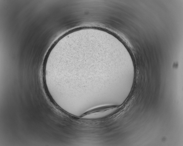 X0000116810895201001081353