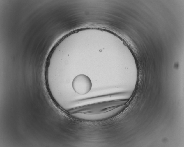 X0000116810896201001081353