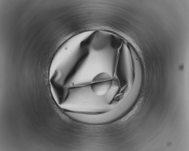 X0000116810897201001081353