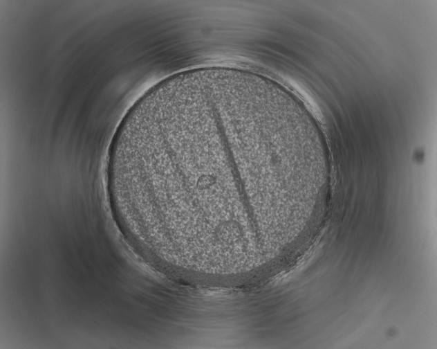 X0000116810899201001081353