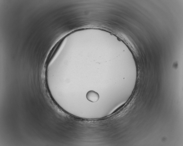 X0000116810900201001081353